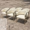 Ghế ăn XDAILY | MATEO chair