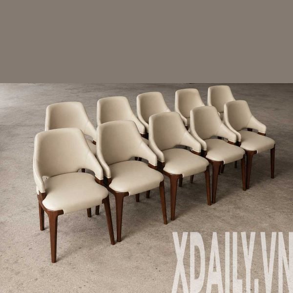 Ghế ăn XDAILY | POTOCCO chair
