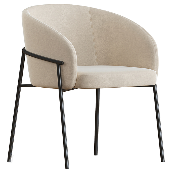 Ghế ăn | Ghế cafe XDAILY | Rimo chair