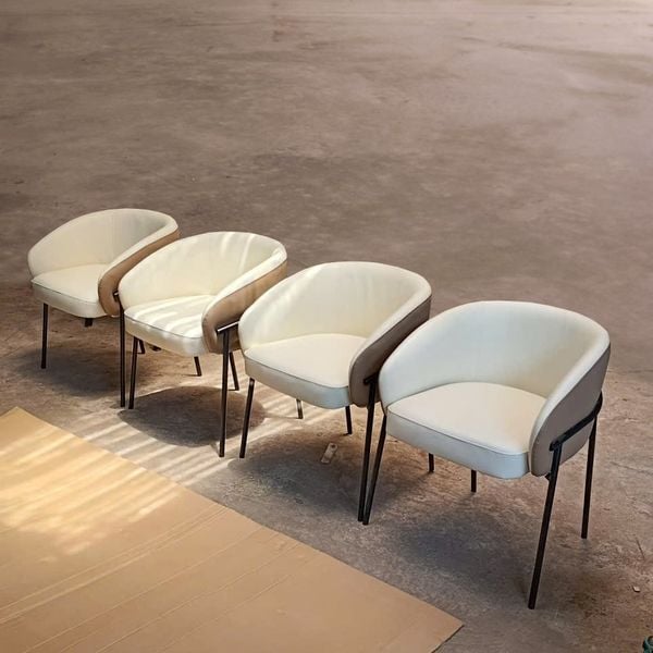 Ghế ăn | Ghế cafe XDAILY | Rimo chair