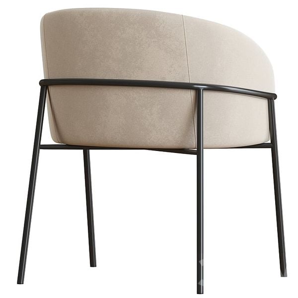 Ghế ăn | Ghế cafe XDAILY | Rimo chair