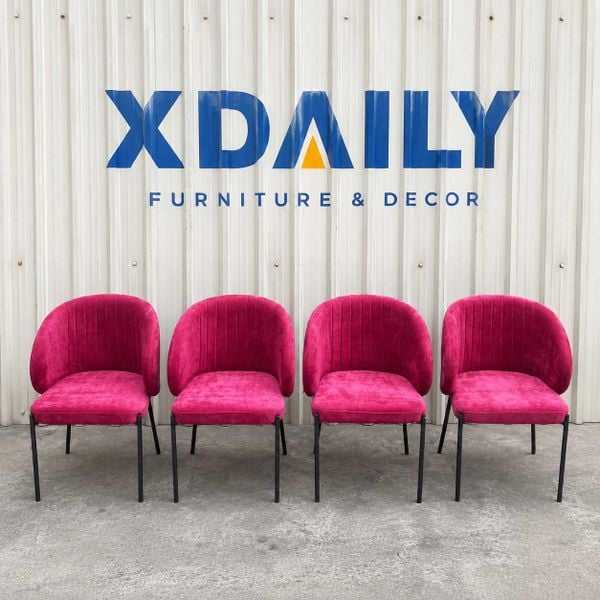 Ghế ăn XDAILY | SHELL BACK chair