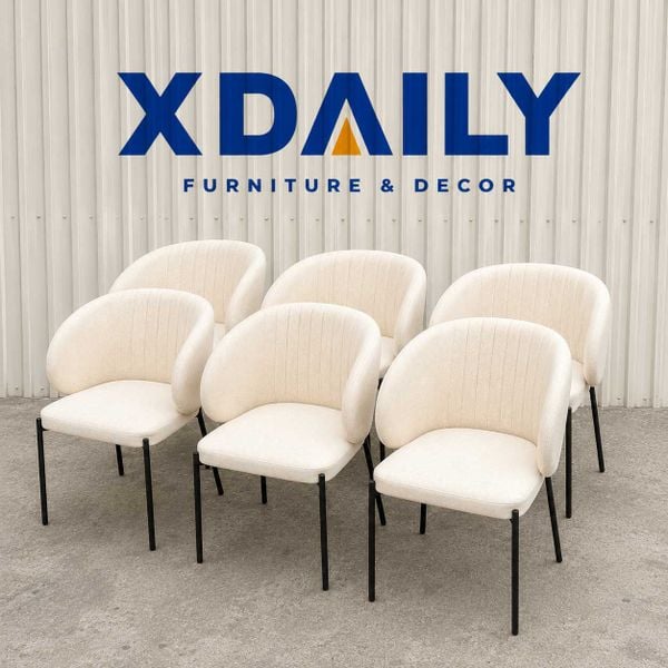 Ghế ăn XDAILY | SHELL BACK chair