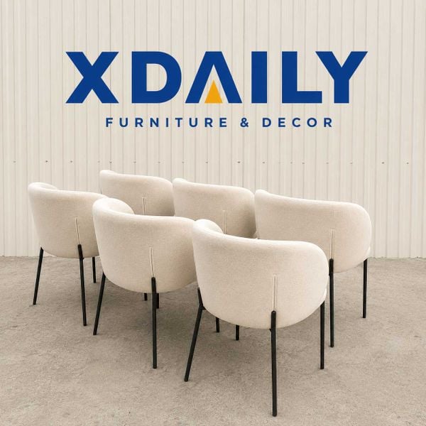 Ghế ăn XDAILY | SHELL BACK chair
