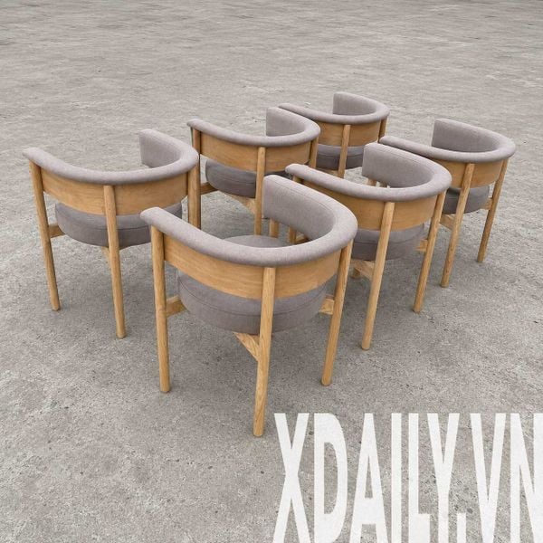 Ghế ăn XDAILY - Norm chair
