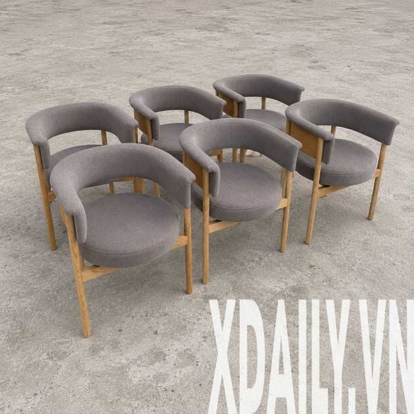 Ghế ăn XDAILY - Norm chair