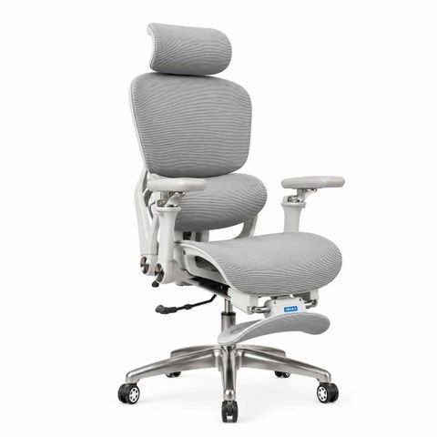 Ghế công thái học XDAILY - CTH816
