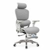 Ghế công thái học XDAILY - CTH816