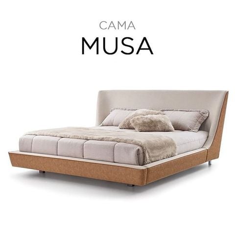 giường ngủ xdaily, cama musa bed