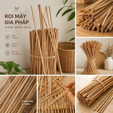Roi mây gia pháp