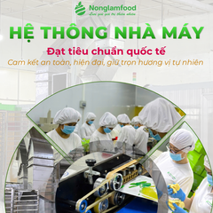 XOÀI SẤY DẺO MUỐI ỚT | HỘP 500G | CHILLI DRIED MANGO | HEALTHY SNACK