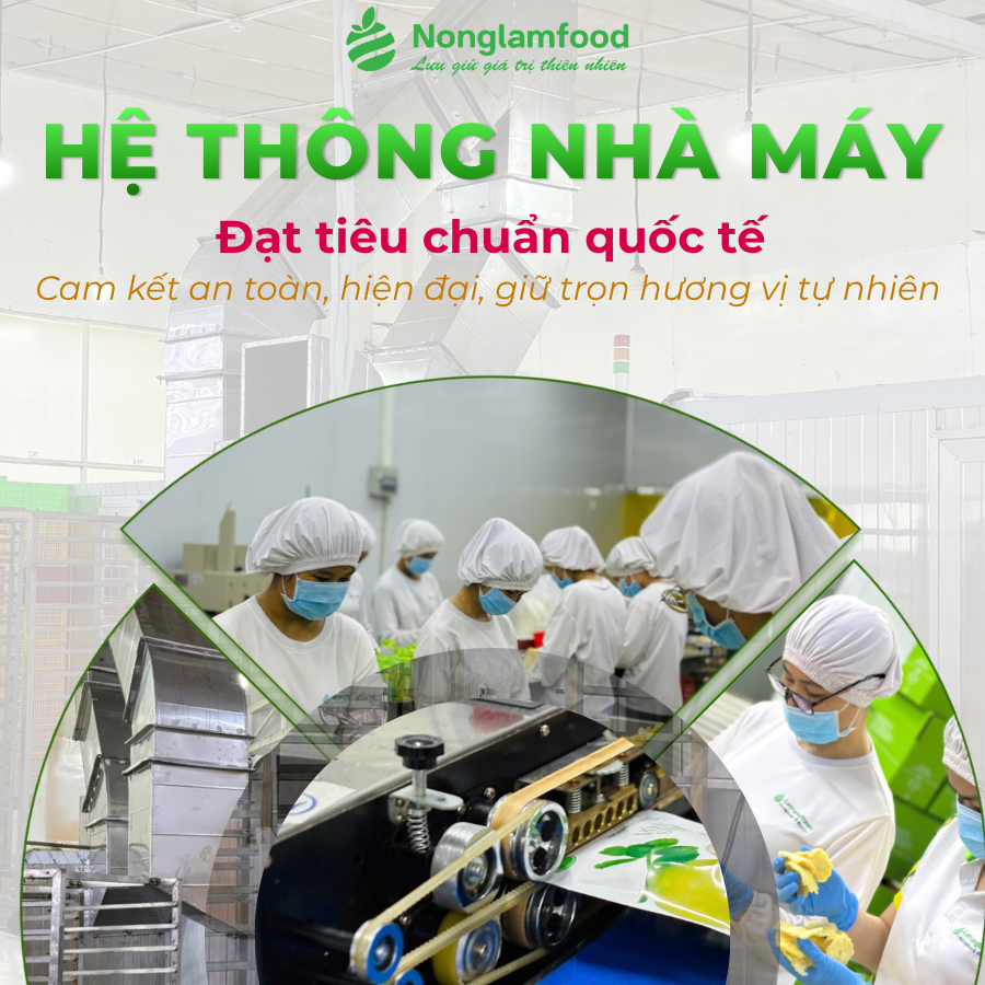 THẬP CẨM SẤY GIÒN | TÚI 100G | CRISPY MIXED FRUIT | HEALTHY SNACK