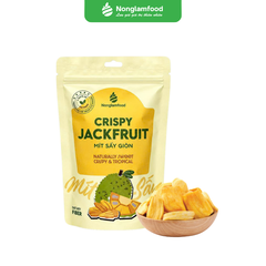 MÍT SẤY GIÒN | TÚI 100G | CRISPY JACKFRUIT | HEALTHY SNACK