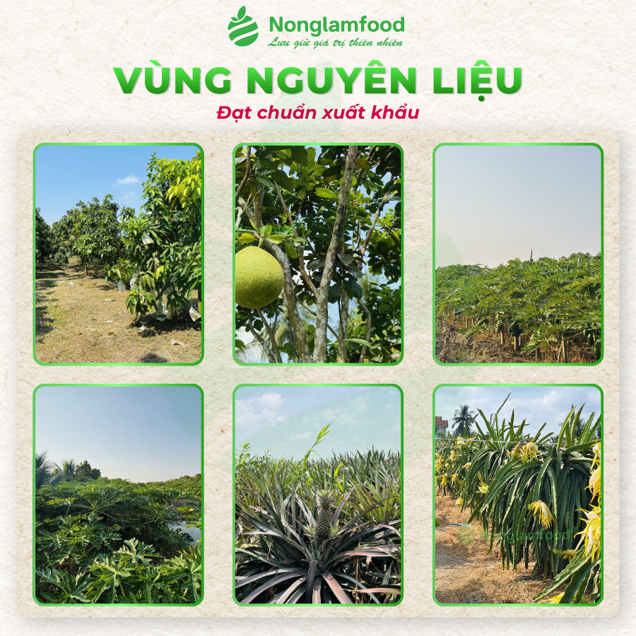 VỎ BƯỞI CHANH DÂY SẤY DẺO | TÚI 45G | DRIED POMELO PEEL WITH PASSION FRUIT | HEALTHY SNACK