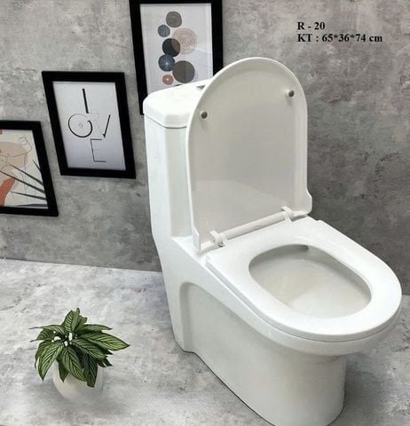 Bệt Liền Khối R20 Giá Rẻ – Xả Mạnh, Dễ Vệ Sinh