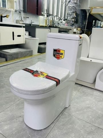 Bệt Liền Khối R20 Giá Rẻ – Xả Mạnh, Dễ Vệ Sinh