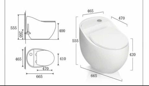 Bồn Cầu Liền Khối Cao Cấp - Sang Trọng & Tiết Kiệm Nước