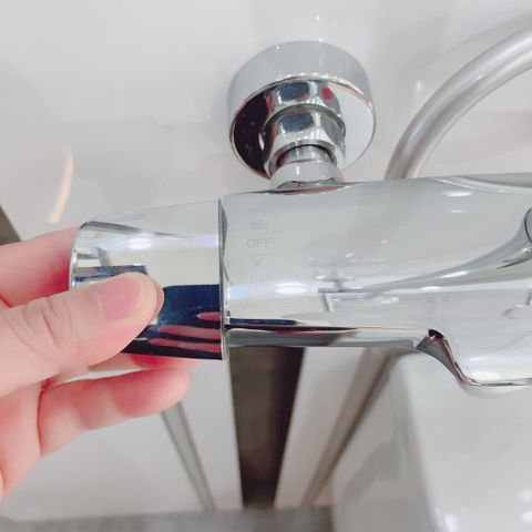 Sen Cây Nhiệt Độ Tây Ban Nha BL-700902 - Cao Cấp, An Toàn, Siêu Bền