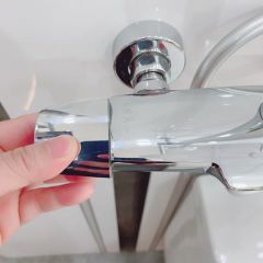 Sen Cây Nhiệt Độ Tây Ban Nha BL-700902 - Cao Cấp, An Toàn, Siêu Bền