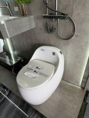 Bồn Cầu Liền Khối LK169 Dáng Trứng – Men Platinum Cao Cấp