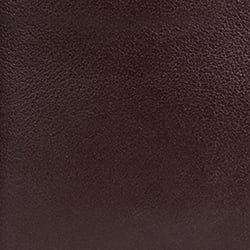  Ví Da Nam Dáng Ngang WT25FH12-HZ 