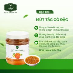MỨT TẮC CÔ ĐẶC TOPPINGREEN 1KG