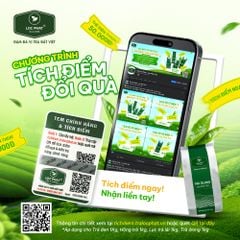 BỘT CHANH TƯƠI TOPPINGREEN 200GR (60 GÓI/THÙNG)