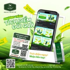 BỘT ÔLONG MATCHA THƯỢNG HẠNG LỘC PHÁT 200GR (60 GÓI/THÙNG)