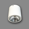 Đèn LED ốp trần trụ ngoài trời Nanoco NSDL2236 7W IP54 góc 17°