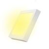 Đèn LED ốp trần nổi Nanoco 12W vuông (162x162x30)
