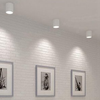 Đèn LED ốp trần trụ ngoài trời Nanoco NSDL2236 7W IP54 góc 17°