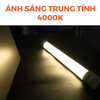 Đèn LED bán nguyệt ECO Nanoco 20W (600 mm)