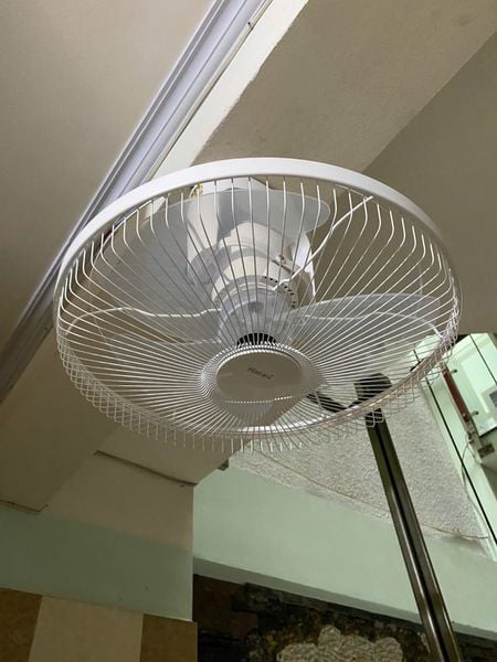 Quạt Thái Lan đảo trần Hatari HE-C18M1 63W - Hộp số có nút dừng