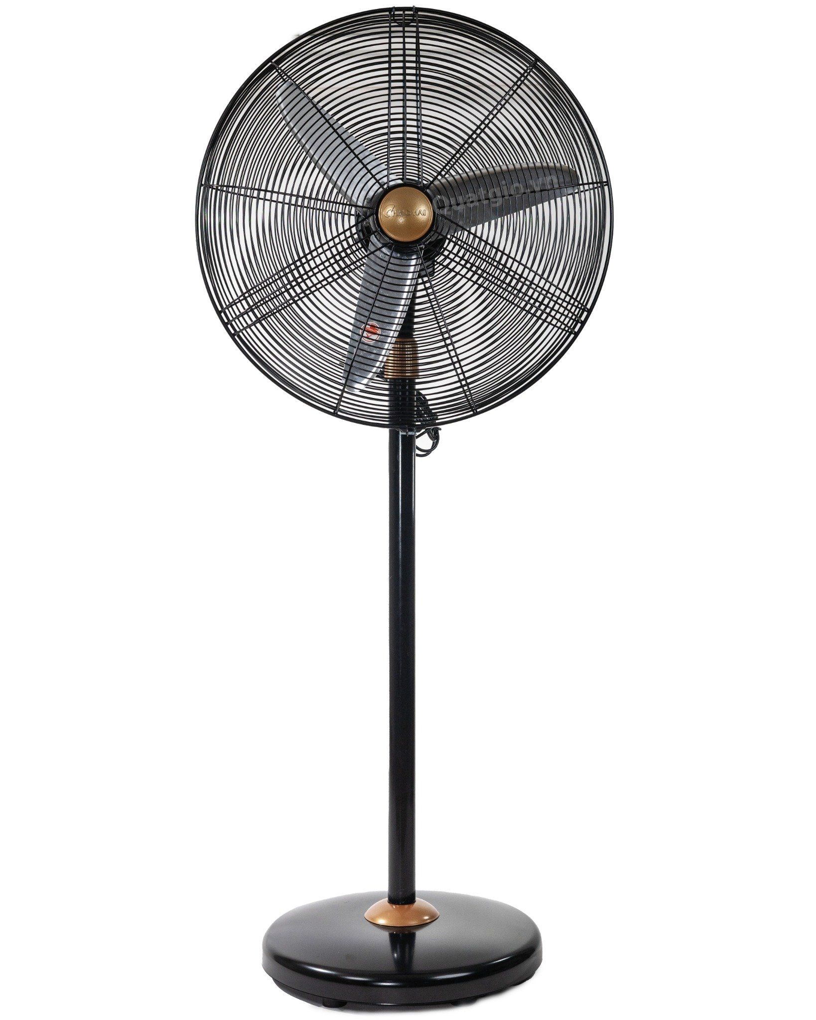 Quạt đứng công nghiệp Chinghai NO.1 - 180W