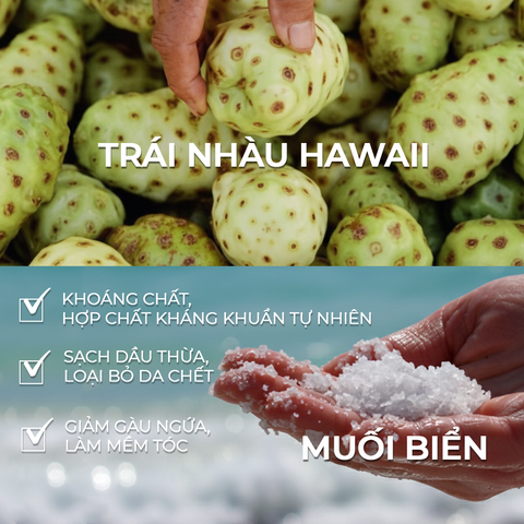  Dầu Gội Natufres Hawaiian Breeze Muối Biển & Trái Nhàu Hawaii 