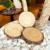  Lót Đế Gỗ Cho Nến Thơm - Gỗ Thông Tự Nhiên 
