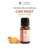  Tinh Dầu Hữu Cơ Cam Ngọt (Sweet Orange) - Tinh Dầu Bản Địa Mexico 