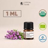  [NHẬP KHẨU] Tinh Dầu Hữu Cơ Xạ Hương (Thyme) - Bản Địa Tây Ban Nha 