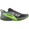 SALOMON - SENSE RIDE 5 - BLACK/LAUREL WREATH - L47311100 - Giày Chạy Bộ Địa Hình Nam