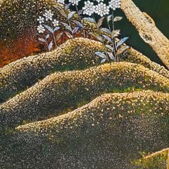  Bức Bình Phong Rừng Thưa D220 