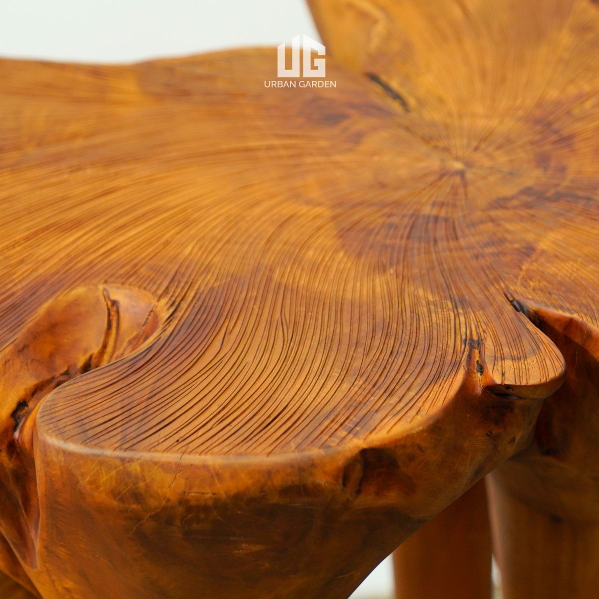  Bàn Gỗ Tràm Reborn Wood 13HX5 D67 