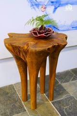  Bàn Gỗ Tràm Reborn Wood 13HX5 D67 