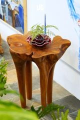  Bàn Gỗ Tràm Reborn Wood 13HX5 D67 