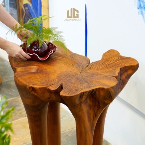  Bàn Gỗ Tràm Reborn Wood 13HX5 D67 