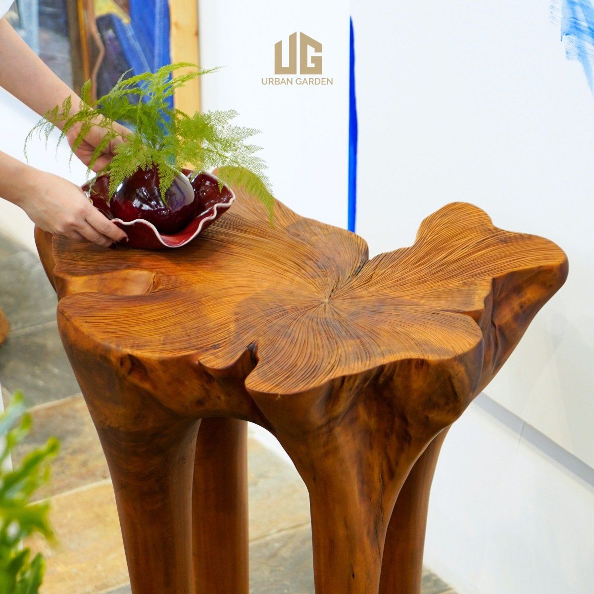  Bàn Gỗ Tràm Reborn Wood 13HX5 D67 