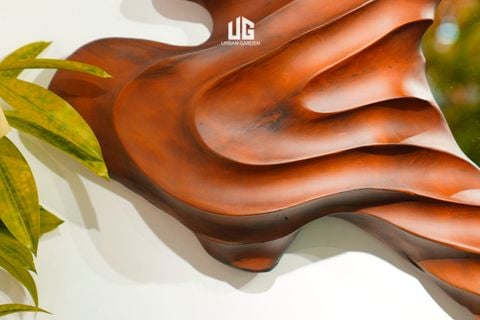  Gương Gỗ Reborn Wood Sóng Sao Xanh D165 