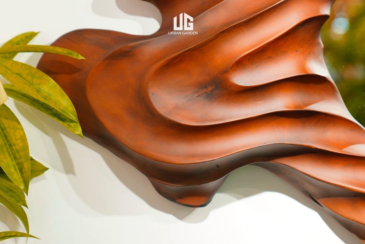  Gương Gỗ Reborn Wood Sóng Sao Xanh D165 