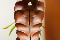  Gương Gỗ Reborn Wood Sóng Sao Xanh D165 