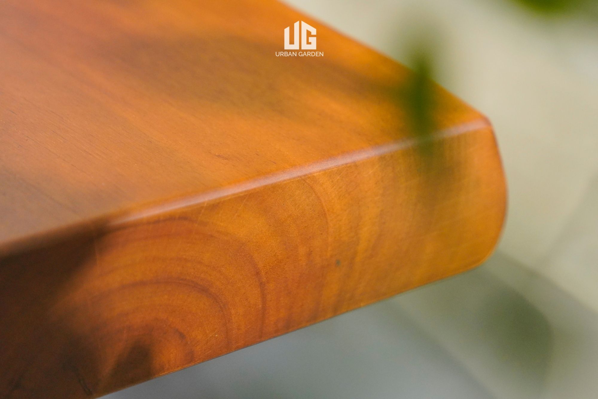  Bàn Console Teak Slab Wood 12IX5 D218 