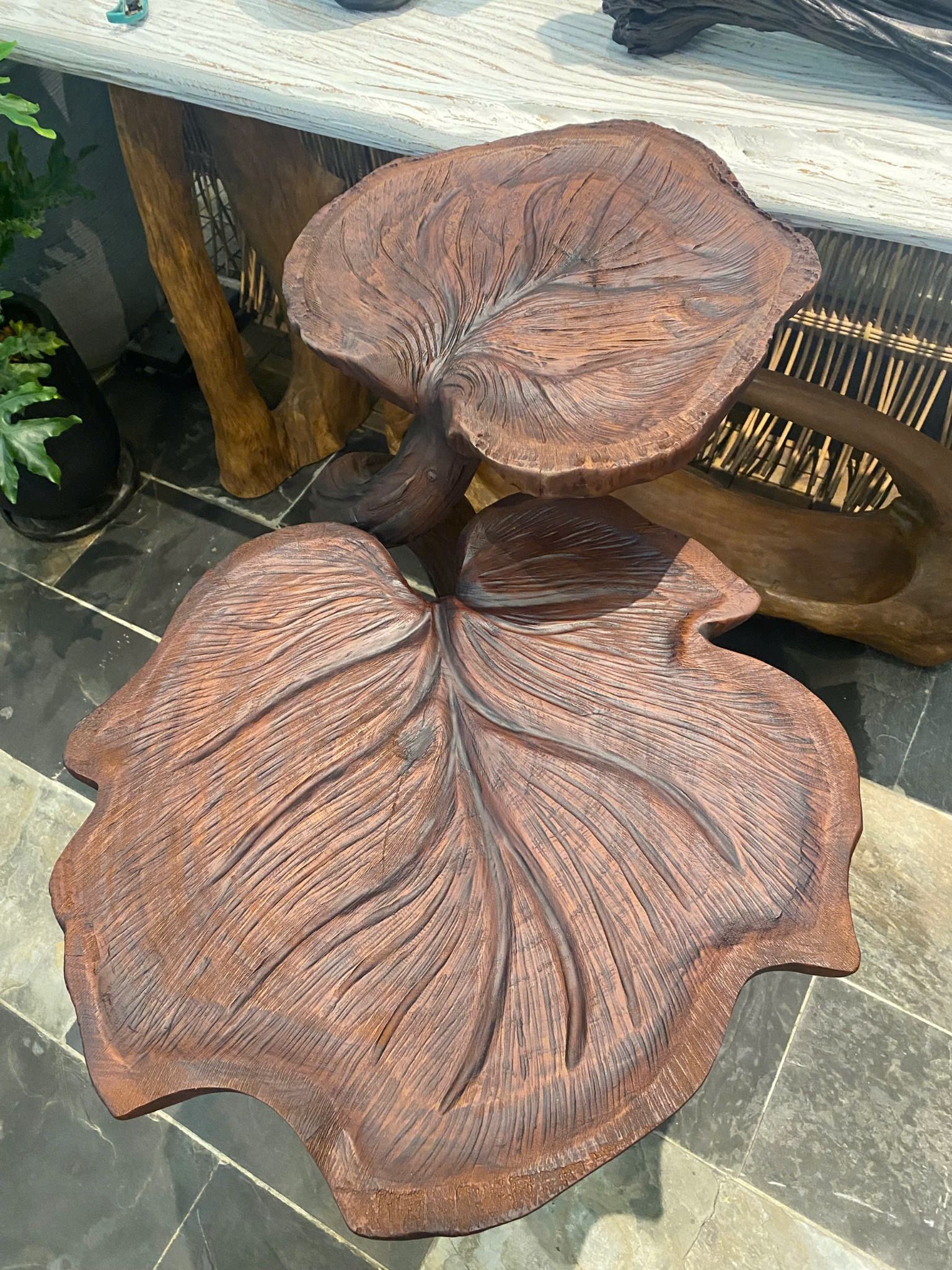  Kệ Decor Gỗ Tràm Reborn Wood 13HX5 D91 